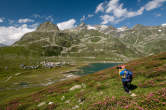 20110702_164432 Mauro Lanfranchi tra i rododendri di Montespluga.jpg